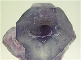 Fluorite, Naica Complex, Chihuahua, Mexico Miniature 2.5 x 3 x 3 cm $60. Online 6/27 SOLD