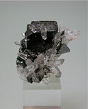 Hubnerite and Quartz, Mundo Nuevo Mine, Peru Miniature 3 x 3 x 3.2 cm $125. Online 3/21. SOLD.