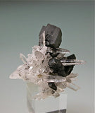 Hubnerite and Quartz, Mundo Nuevo Mine, Peru Miniature 3 x 4 x 4 cm $125.  SOLD.