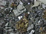 SOLD Chalcopyrite and Pyrite on Galena, Borieva Mine, Madan District, Smolyan Oblast, Southern Rhodope Mountains, Bulgaria Large cabinet 8 x 12 x 16 cm $1800. Online 4/21