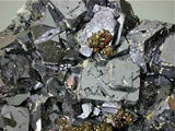 SOLD Chalcopyrite and Pyrite on Galena, Borieva Mine, Madan District, Smolyan Oblast, Southern Rhodope Mountains, Bulgaria Large cabinet 8 x 12 x 16 cm $1800. Online 4/21