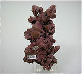 Copper, Lake Superior Copper District, Michigan Small cabinet 4 x 4.5 x 9 cm $2800. Online 5/27