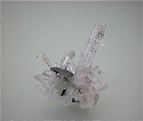 Hubnerite and Quartz, Mundo Nuevo Mine, Labor Yaqui, Huamachuco, La Libertad, Peru, Mined 2009, 3.0 x 4.5 x 5.5 cm, $280.  Online 6/2