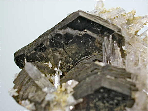 Pyrrhotite with Quartz and Calcite, Trepca Complex, Mitrovica, Kosovska Municipality, Kosovo, Mined c. 1990-2000, 5.0 x 5.0 x 6.0 cm, $250. Online 6/2 SOLD.