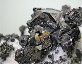 SOLD Galena on Manganoan Calcite with Pyrite, Kruchev dol Mine, Madan District, Smolyan Oblast, Bulgaria Mined 2013, Small Cabinet 5.5 x 5.8 x 8.5 cm, $200.  Online 6/9.