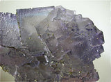 Fluorite with Chalcopyrite, Sub-Rosiclare Level Annabel Lee Mine, Ozark-Mahoning Company, Harris Creek District Southern Illinois, Mined 1988, Medium Cabinet 5.5 x 10.0 x 14.0 cm, $850. Online 8/20 SOLD