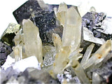 Galena and Quartz with Chalcopyrite, Gjudurska Mine, Zlatograd District, Southern Rhodope Mountains, Bulgaria, Mined 2011, Small Cabinet 5.5 x 7.0 x 9.0 cm, $200.  Online 8/27. SOLD.
