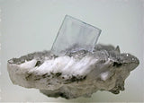 SOLD Fluorite on Barite, La Viesca Mine, Huergo La Colloda, Siero Asturias, Spain, Mine 2014, Miniature 3.0 x 3.0 x 4.0 cm, $250.  Online 8/25