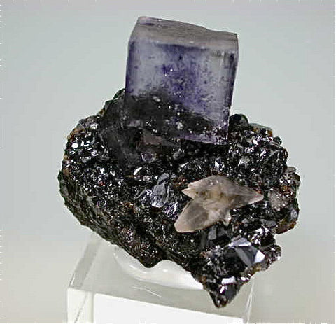 Fluorite on Sphalerite with Calcite, attr: Hill-Ledford Mine, Ozark-Mahoning Company, Cave-in-Rock District, Southern Illinois, Mined c. early 1960's, Bynum Collection, Miniature 2.5 x 3.0 x 3.5 cm, $125.  Online 11/12/14. SOLD.