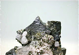 SOLD Pyrite on Arsenopyrite with Sphalerite and Quartz, Trepca Complex near Mitrovica, Kosovska Municipality, Kosovo, Mined 2014, Miniature 3.5 x 4.5 x 5.0 cm, $50.  Online 11/13/14.